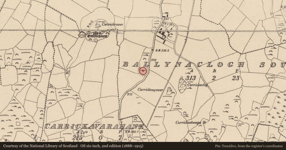Ordnance Survey six-inch map, 2nd edition (1888–1915) covering the location of Enclosure, Ballynaclogh South, County Waterford, with a pin at the register's coordinates