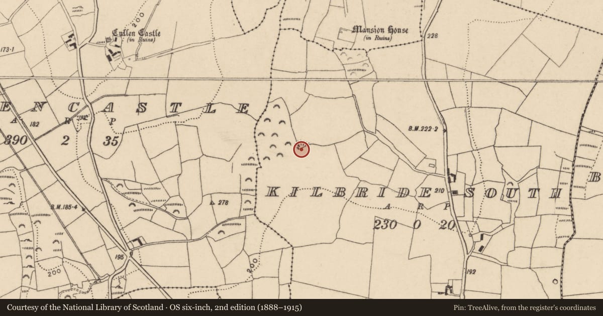 Ordnance Survey six-inch map, 2nd edition (1888–1915) covering the location of Ringfort - unclassified, Kilbride South, County Waterford, with a pin at the register's coordinates