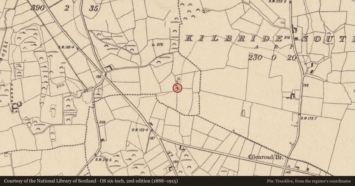 Ordnance Survey six-inch map, 2nd edition (1888–1915) covering the location of Enclosure, Cullencastle, County Waterford, with a pin at the register's coordinates