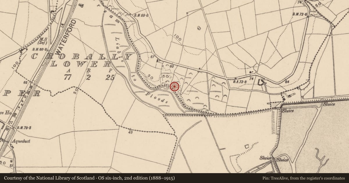 Ordnance Survey six-inch map, 2nd edition (1888–1915) covering the location of Enclosure, Ballinattin, County Waterford, with a pin at the register's coordinates