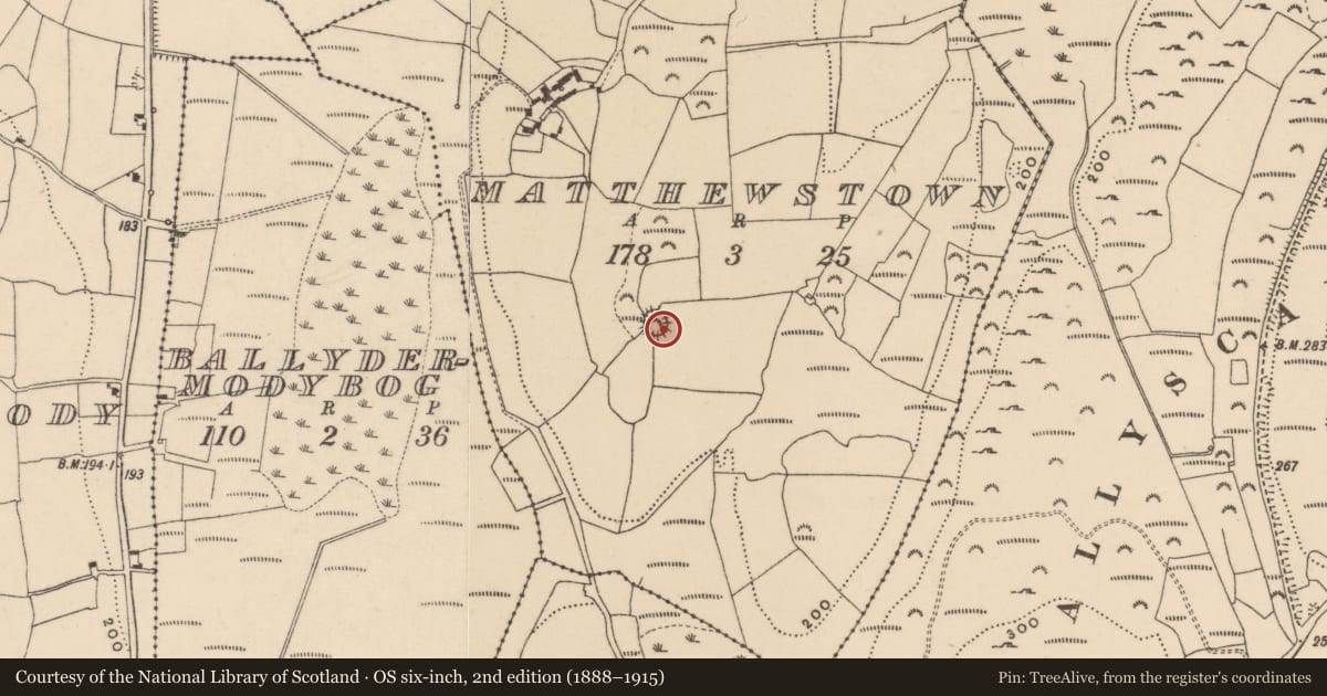 Ordnance Survey six-inch map, 2nd edition (1888–1915) covering the location of Enclosure, Matthewstown, County Waterford, with a pin at the register's coordinates