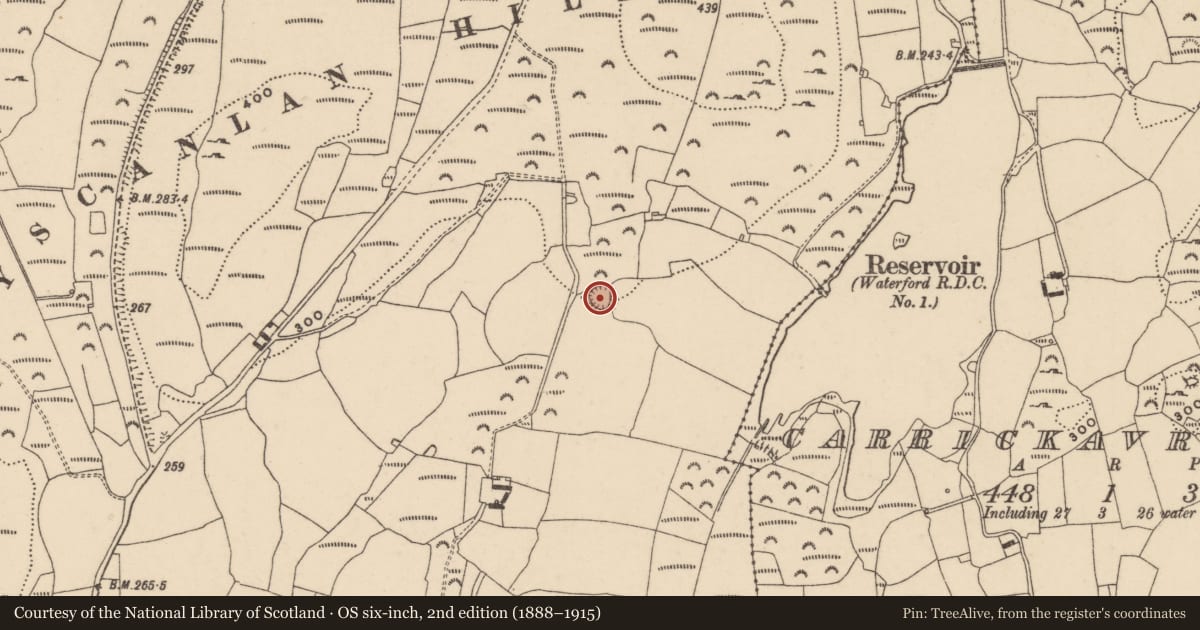 Ordnance Survey six-inch map, 2nd edition (1888–1915) covering the location of Ringfort - rath, Ballyscanlan, County Waterford, with a pin at the register's coordinates