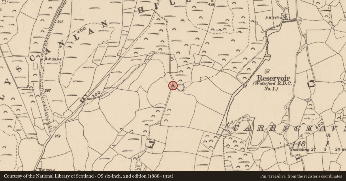 Ordnance Survey six-inch map, 2nd edition (1888–1915) covering the location of Souterrain, Ballyscanlan, County Waterford, with a pin at the register's coordinates