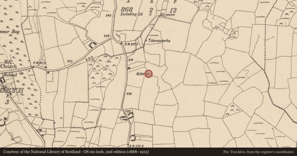 Ordnance Survey six-inch map, 2nd edition (1888–1915) covering the location of Ringfort - rath, Ballyscanlan, County Waterford, with a pin at the register's coordinates