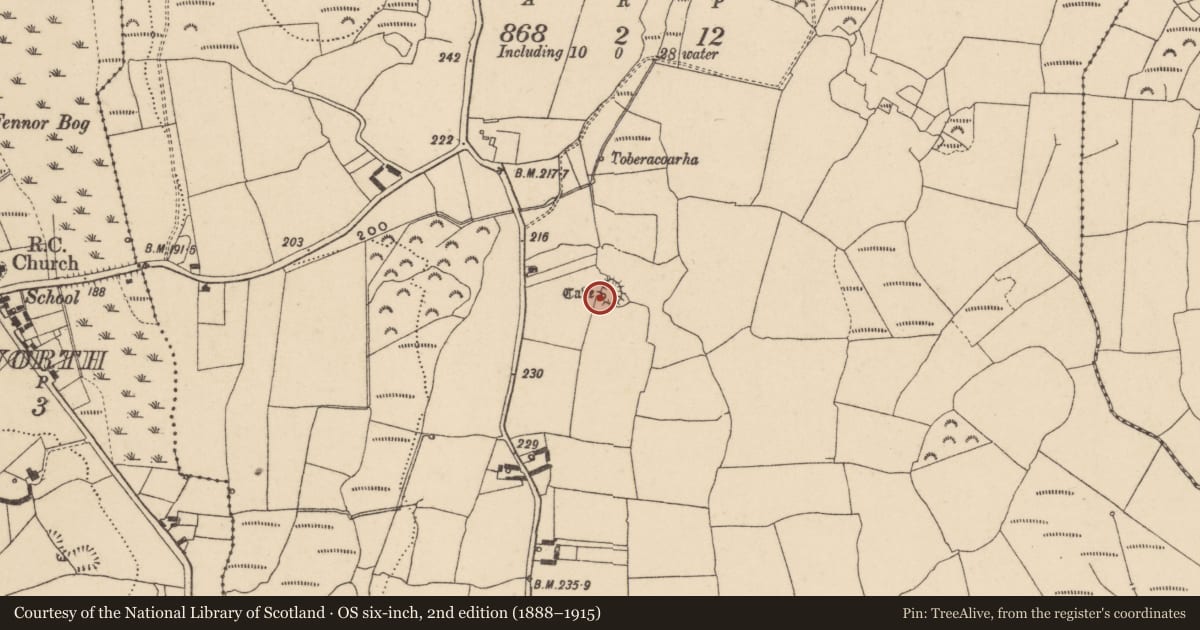 Ordnance Survey six-inch map, 2nd edition (1888–1915) covering the location of Souterrain, Ballyscanlan, County Waterford, with a pin at the register's coordinates