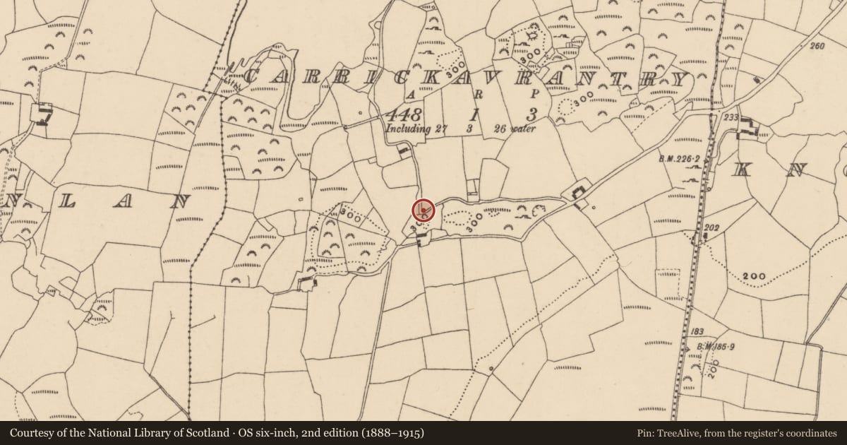 Ordnance Survey six-inch map, 2nd edition (1888–1915) covering the location of Megalithic tomb - wedge tomb, Carrickavrantry, County Waterford, with a pin at the register's coordinates