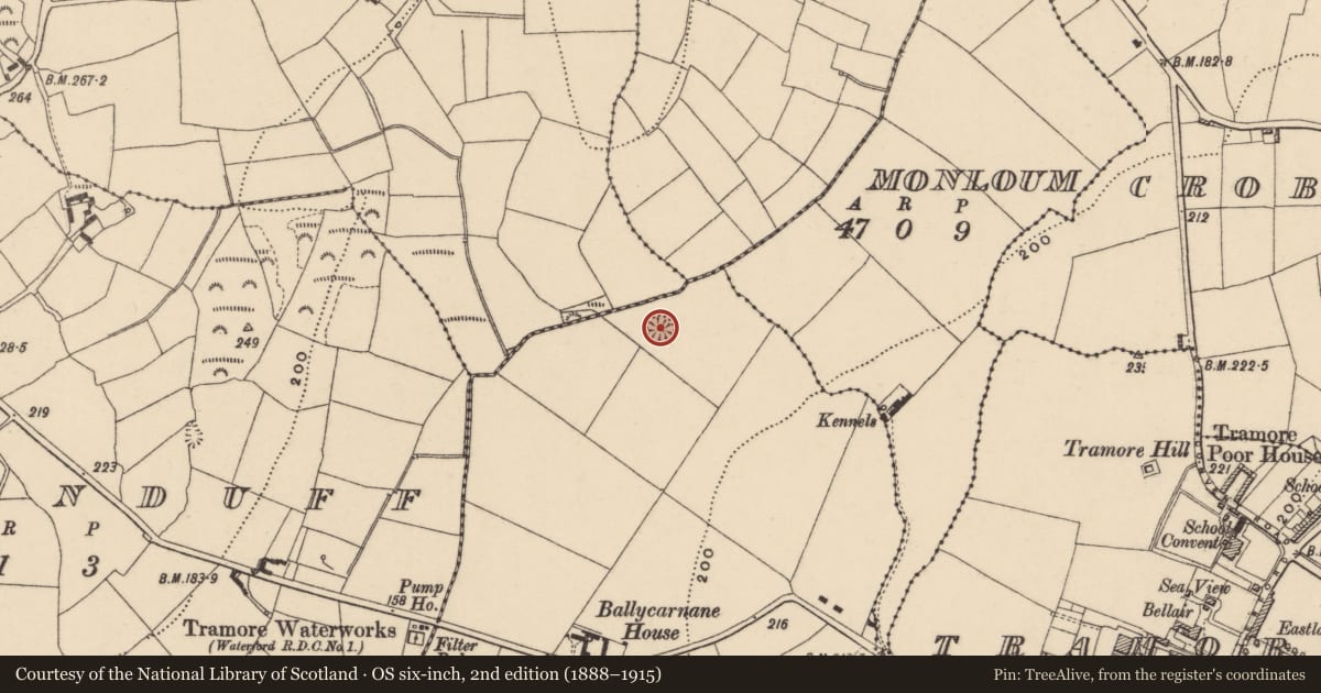 Ordnance Survey six-inch map, 2nd edition (1888–1915) covering the location of Ringfort - rath, Ballycarnane, County Waterford, with a pin at the register's coordinates