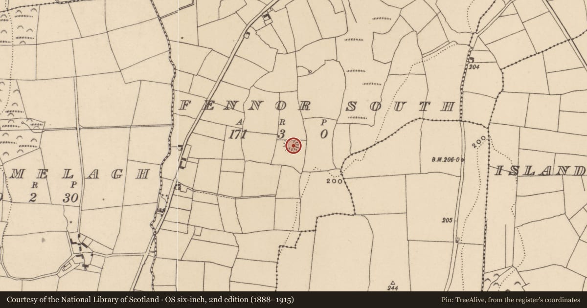 Ordnance Survey six-inch map, 2nd edition (1888–1915) covering the location of Ringfort - rath, Fennor South, County Waterford, with a pin at the register's coordinates