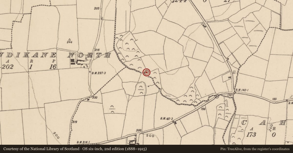 Ordnance Survey six-inch map, 2nd edition (1888–1915) covering the location of Ringfort - rath, Islandtarsney South, County Waterford, with a pin at the register's coordinates
