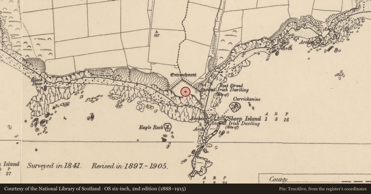 Ordnance Survey six-inch map, 2nd edition (1888–1915) covering the location of Promontory fort - coastal, Islandikane East, Islandikane South, County Waterford, with a pin at the register's coordinates