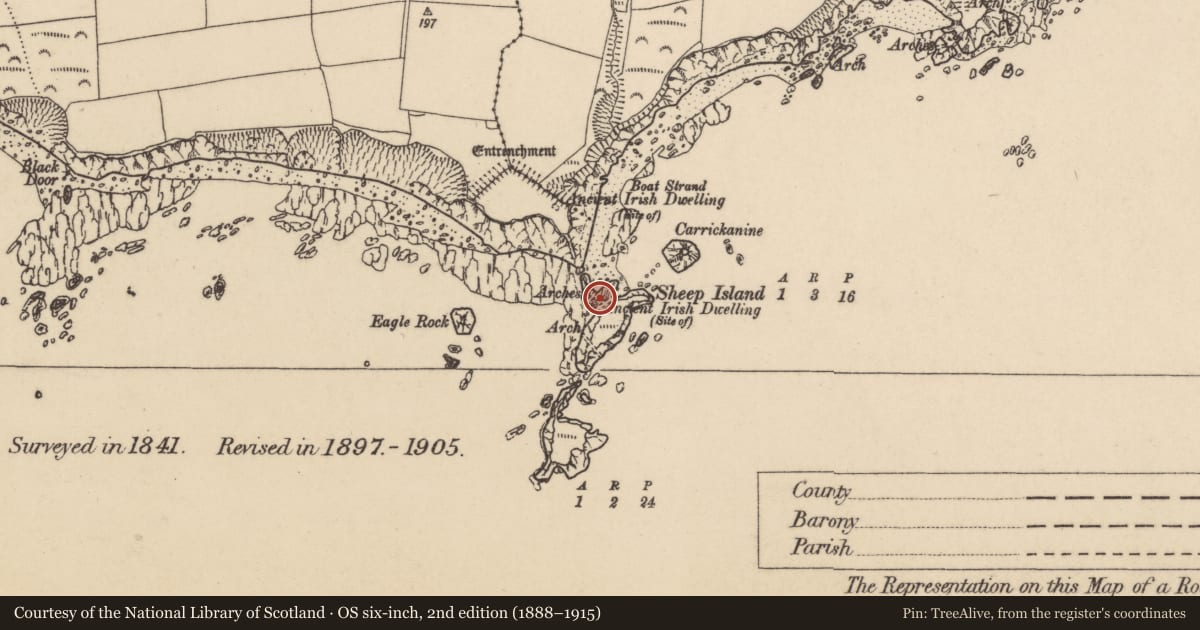 Ordnance Survey six-inch map, 2nd edition (1888–1915) covering the location of Hut site, Islandikane East, Islandikane South, County Waterford, with a pin at the register's coordinates