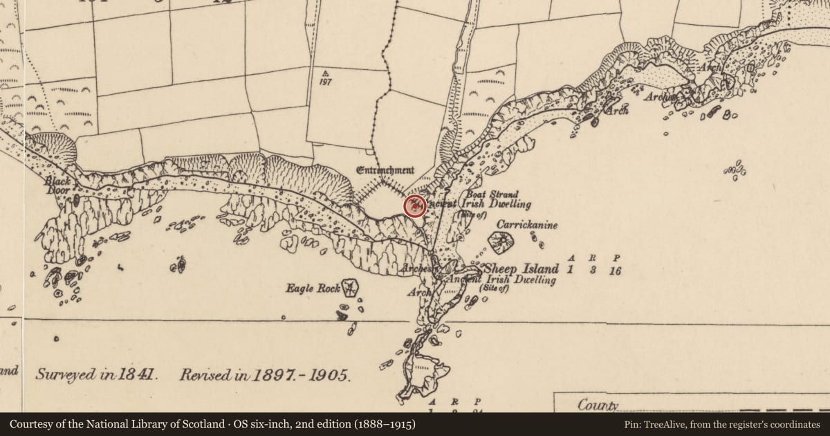 Ordnance Survey six-inch map, 2nd edition (1888–1915) covering the location of Hut site, Islandikane East, Islandikane South, County Waterford, with a pin at the register's coordinates