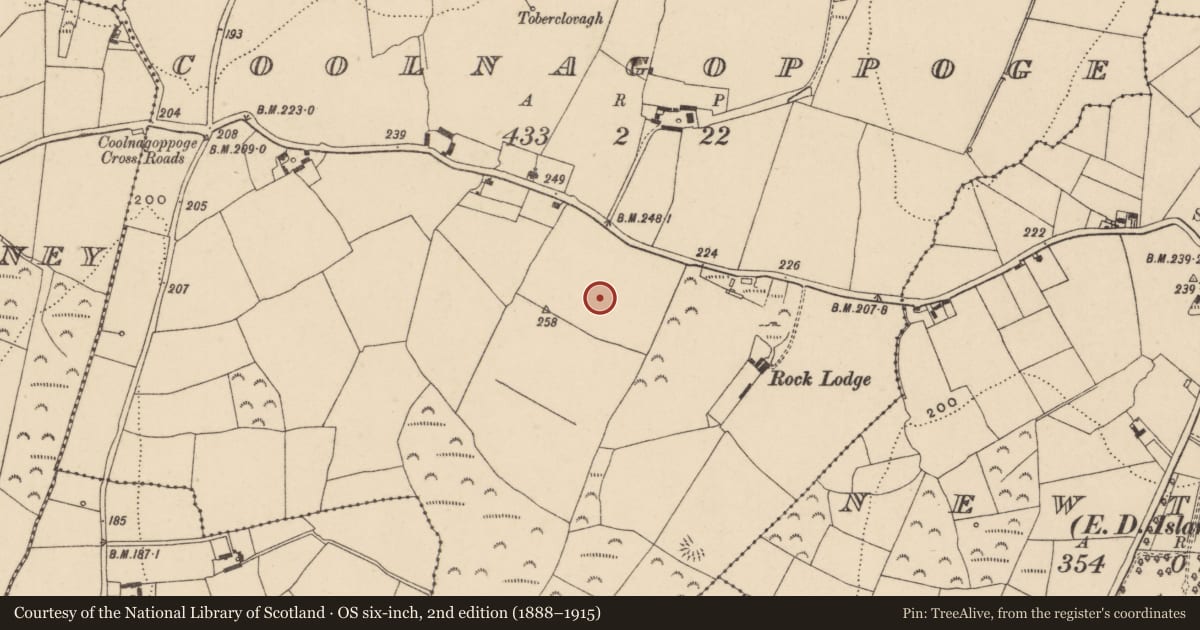 Ordnance Survey six-inch map, 2nd edition (1888–1915) covering the location of Ringfort - unclassified, Coolnagoppoge, County Waterford, with a pin at the register's coordinates