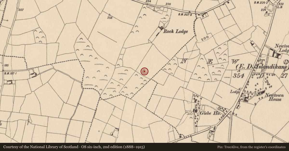 Ordnance Survey six-inch map, 2nd edition (1888–1915) covering the location of Ringfort - rath, Coolnagoppoge, County Waterford, with a pin at the register's coordinates
