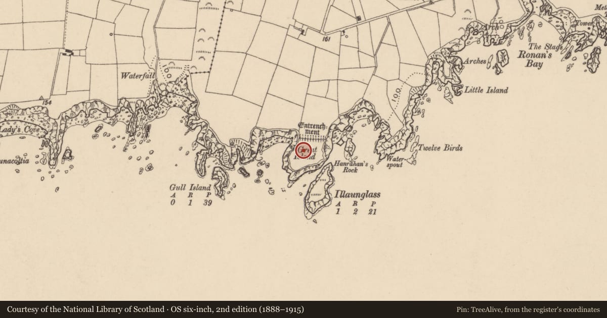 Ordnance Survey six-inch map, 2nd edition (1888–1915) covering the location of Promontory fort - coastal, West-Town, County Waterford, with a pin at the register's coordinates