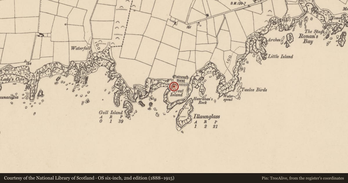 Ordnance Survey six-inch map, 2nd edition (1888–1915) covering the location of House - indeterminate date, West-Town, County Waterford, with a pin at the register's coordinates