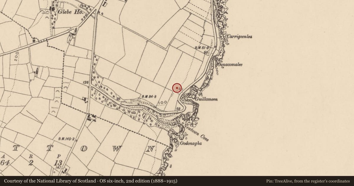 Ordnance Survey six-inch map, 2nd edition (1888–1915) covering the location of Enclosure, Newtown (Middlethird By., Drumcannon Par.), County Waterford, with a pin at the register's coordinates