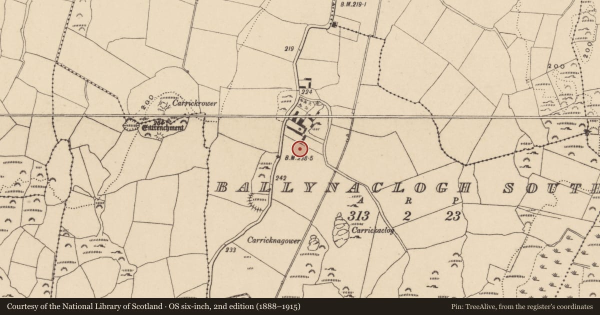 Ordnance Survey six-inch map, 2nd edition (1888–1915) covering the location of Standing stone, Ballynaclogh South, County Waterford, with a pin at the register's coordinates