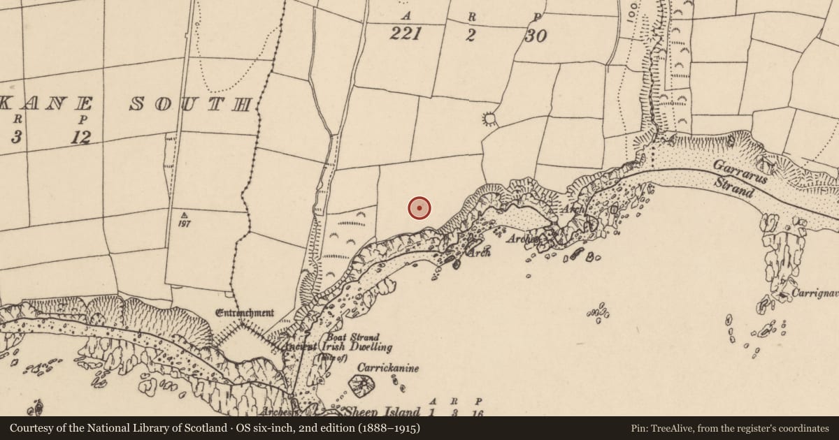 Ordnance Survey six-inch map, 2nd edition (1888–1915) covering the location of Standing stone, Islandikane East, County Waterford, with a pin at the register's coordinates