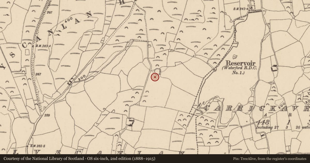 Ordnance Survey six-inch map, 2nd edition (1888–1915) covering the location of Burnt mound, Ballyscanlan, County Waterford, with a pin at the register's coordinates
