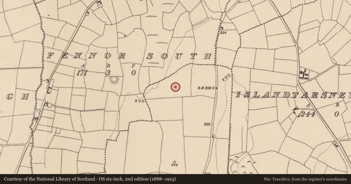 Ordnance Survey six-inch map, 2nd edition (1888–1915) covering the location of Standing stone, Islandikane North, County Waterford, with a pin at the register's coordinates