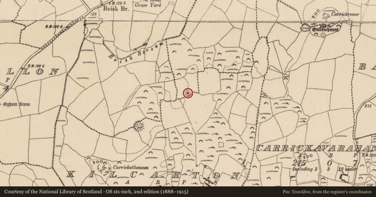 Ordnance Survey six-inch map, 2nd edition (1888–1915) covering the location of Cairn - unclassified, Clonfadda, Kilcarton, County Waterford, with a pin at the register's coordinates