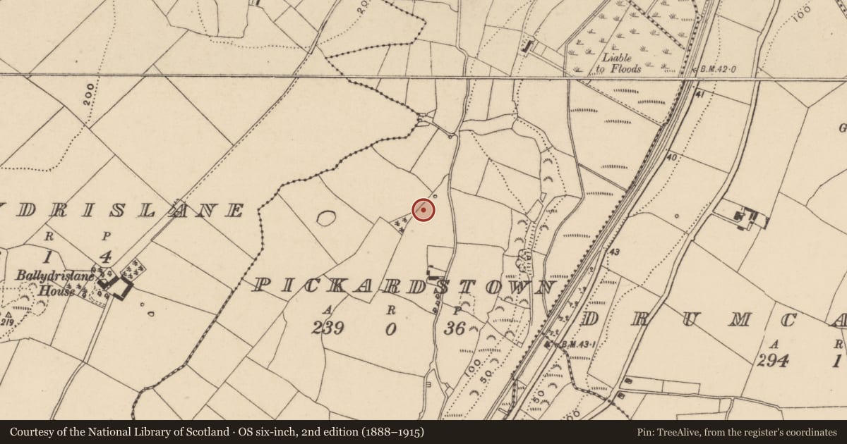 Ordnance Survey six-inch map, 2nd edition (1888–1915) covering the location of Standing stone, Pickardstown, County Waterford, with a pin at the register's coordinates