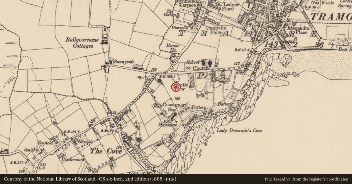 Ordnance Survey six-inch map, 2nd edition (1888–1915) covering the location of Standing stone, Tramore West, County Waterford, with a pin at the register's coordinates