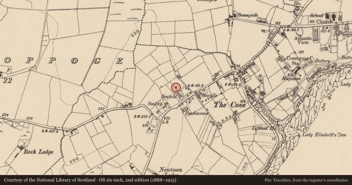 Ordnance Survey six-inch map, 2nd edition (1888–1915) covering the location of Stone sculpture, Newtown (Middlethird By., Drumcannon Par.), County Waterford, with a pin at the register's coordinates