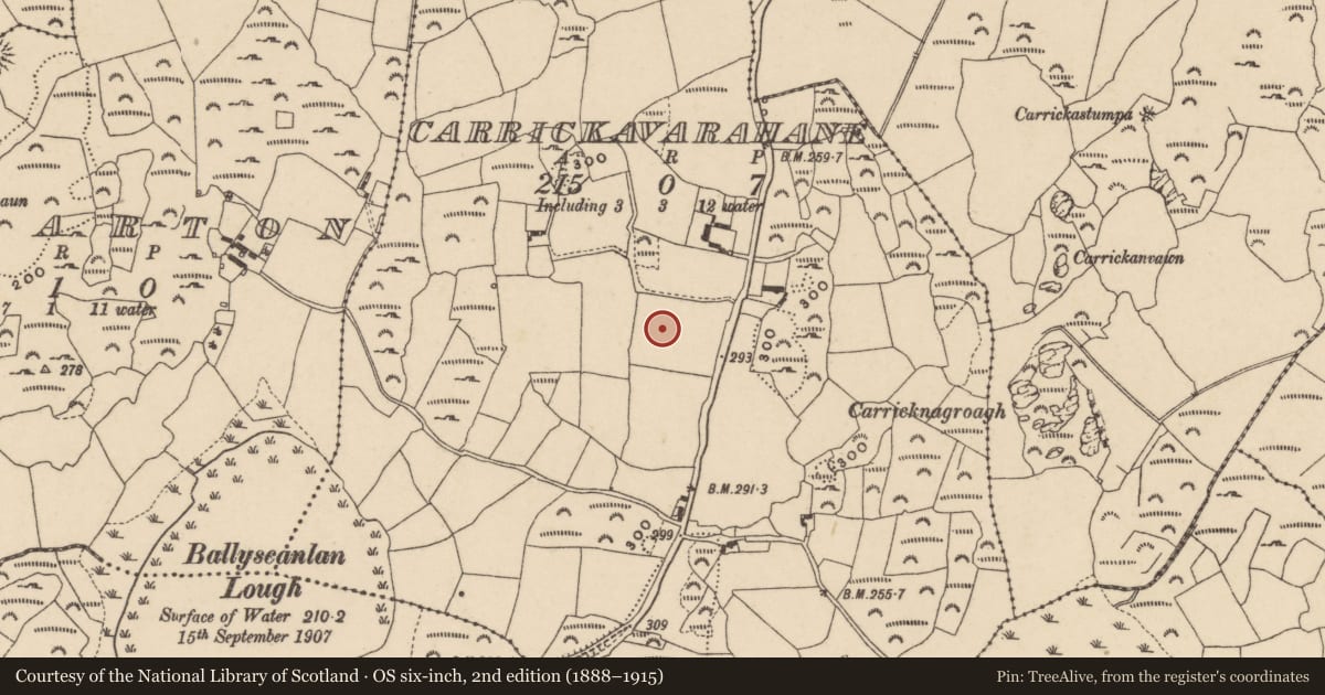 Ordnance Survey six-inch map, 2nd edition (1888–1915) covering the location of Standing stone, Carrickavarahane, County Waterford, with a pin at the register's coordinates