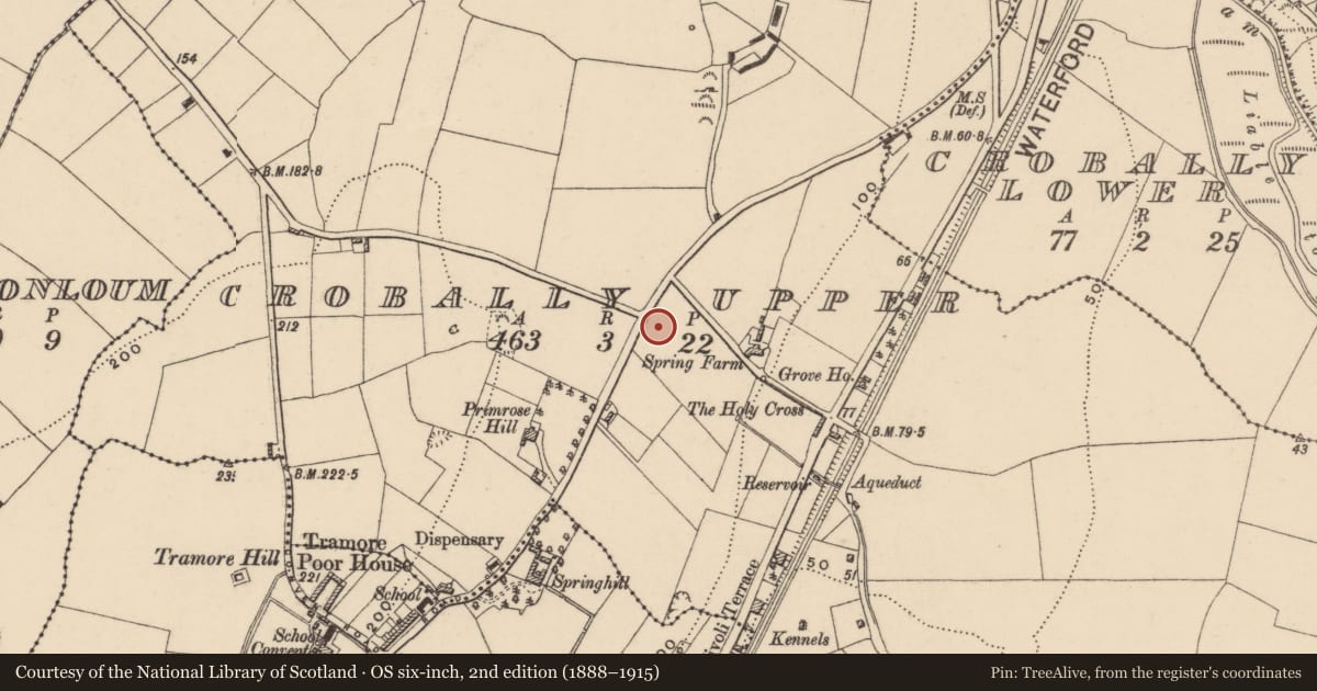 Ordnance Survey six-inch map, 2nd edition (1888–1915) covering the location of Excavation - miscellaneous, Crobally Upper, County Waterford, with a pin at the register's coordinates