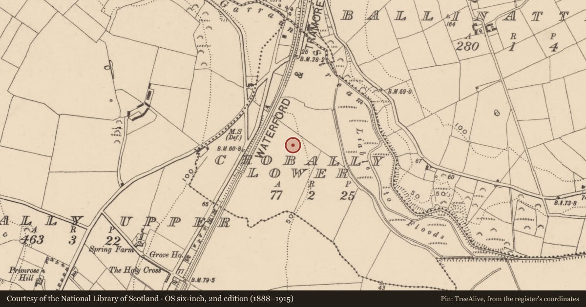 Ordnance Survey six-inch map, 2nd edition (1888–1915) covering the location of Excavation - miscellaneous, Crobally Lower, County Waterford, with a pin at the register's coordinates