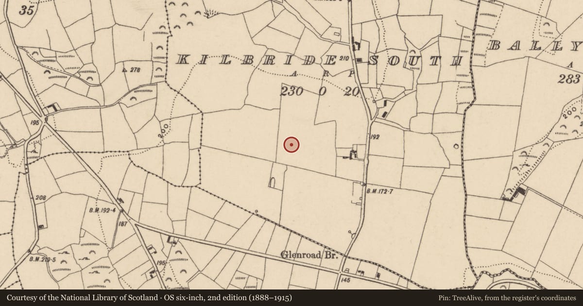 Ordnance Survey six-inch map, 2nd edition (1888–1915) covering the location of Standing stone, Kilbride South, County Waterford, with a pin at the register's coordinates