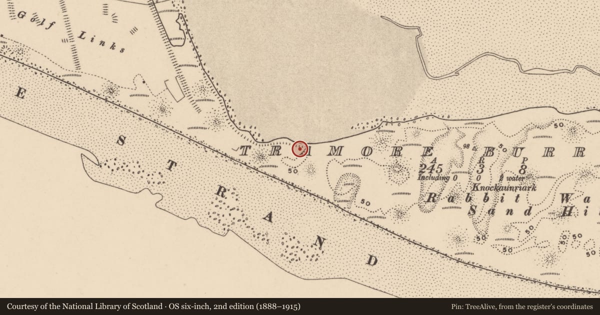 Ordnance Survey six-inch map, 2nd edition (1888–1915) covering the location of Midden, Tramore Burrow, County Waterford, with a pin at the register's coordinates