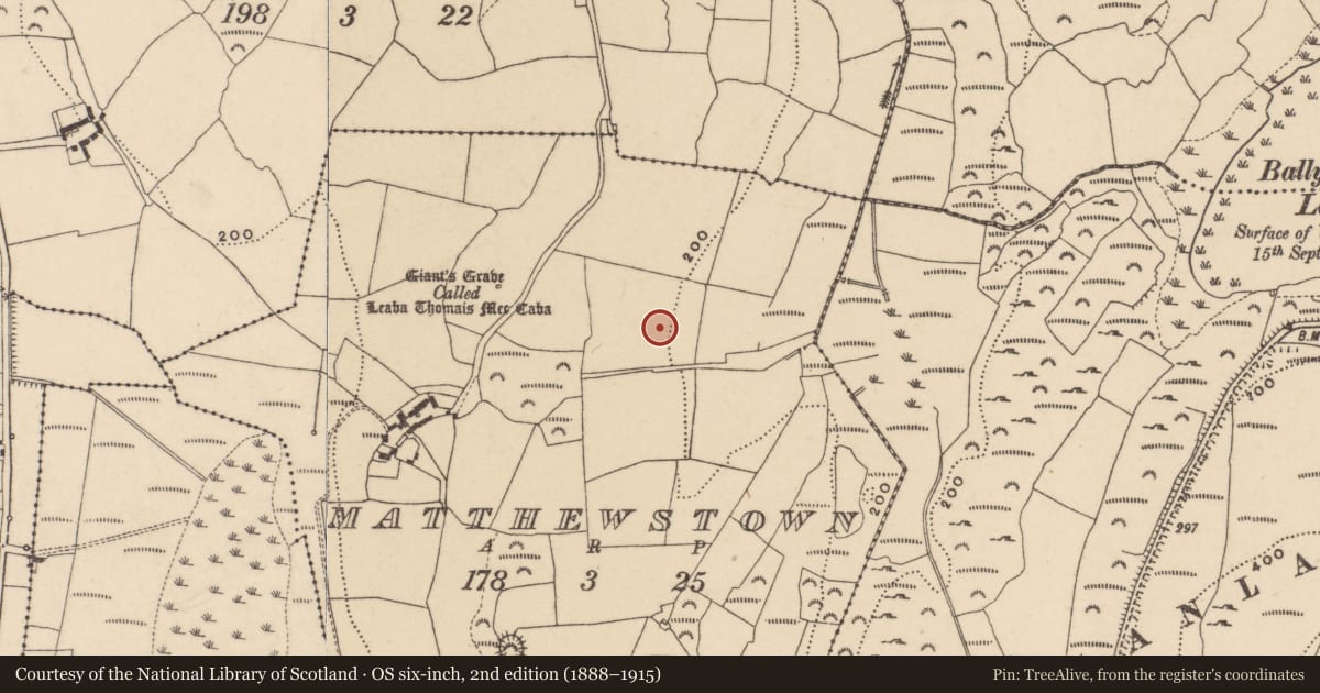 Ordnance Survey six-inch map, 2nd edition (1888–1915) covering the location of Burnt mound, Matthewstown, County Waterford, with a pin at the register's coordinates
