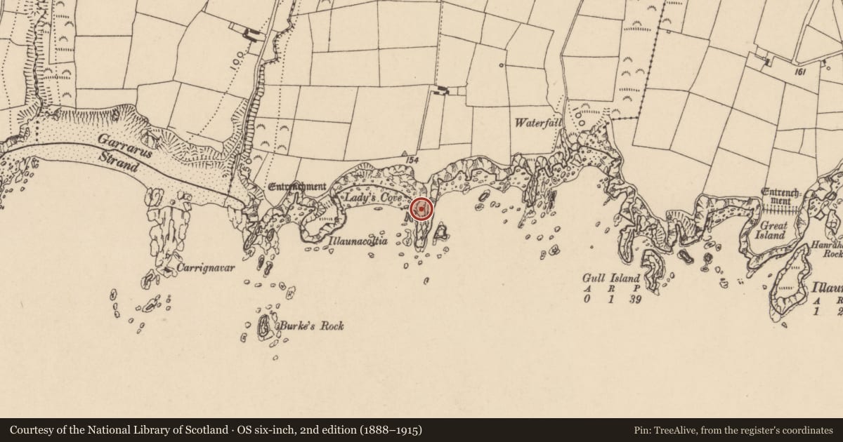 Ordnance Survey six-inch map, 2nd edition (1888–1915) covering the location of Promontory fort - coastal, Garrarus, County Waterford, with a pin at the register's coordinates