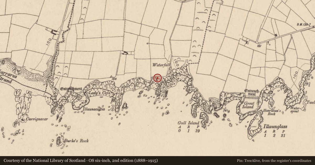 Ordnance Survey six-inch map, 2nd edition (1888–1915) covering the location of Promontory fort - coastal, Garrarus, County Waterford, with a pin at the register's coordinates
