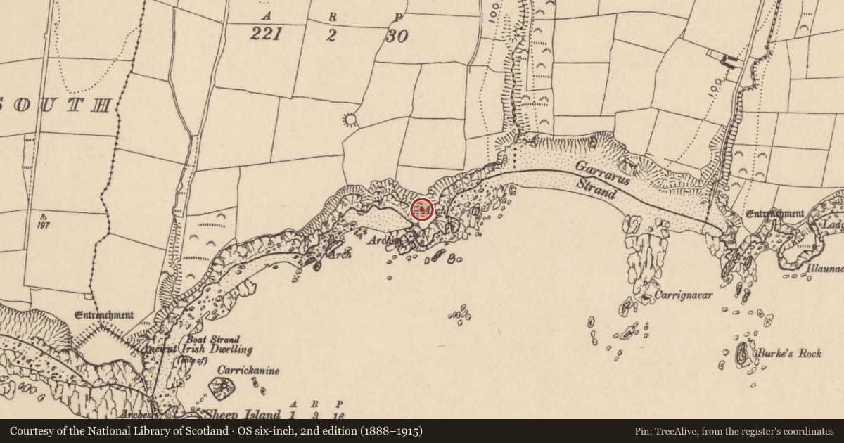 Ordnance Survey six-inch map, 2nd edition (1888–1915) covering the location of Promontory fort - coastal, Islandikane East, County Waterford, with a pin at the register's coordinates