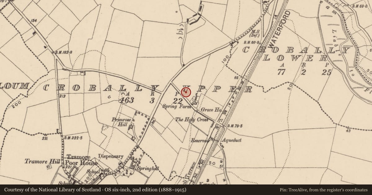 Ordnance Survey six-inch map, 2nd edition (1888–1915) covering the location of Enclosure, Crobally Upper, County Waterford, with a pin at the register's coordinates