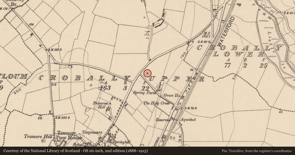 Ordnance Survey six-inch map, 2nd edition (1888–1915) covering the location of Pit-burial, Crobally Upper, County Waterford, with a pin at the register's coordinates