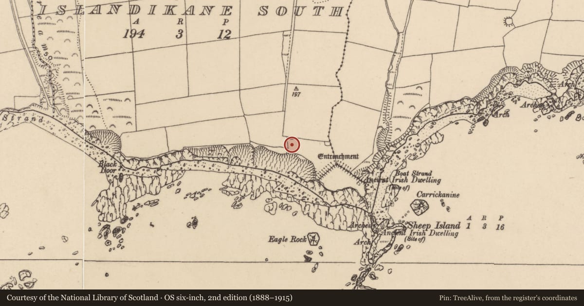 Ordnance Survey six-inch map, 2nd edition (1888–1915) covering the location of Signal tower, Islandikane South, County Waterford, with a pin at the register's coordinates