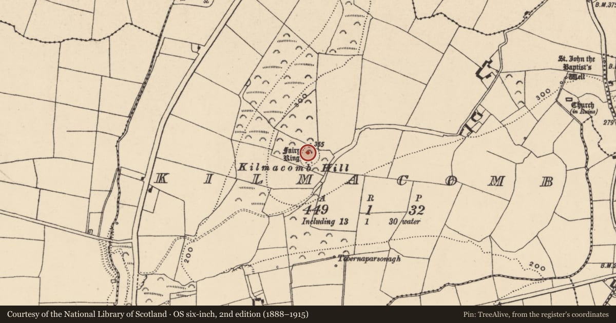 Ordnance Survey six-inch map, 2nd edition (1888–1915) covering the location of Stone circle, Kilmacomb, County Waterford, with a pin at the register's coordinates