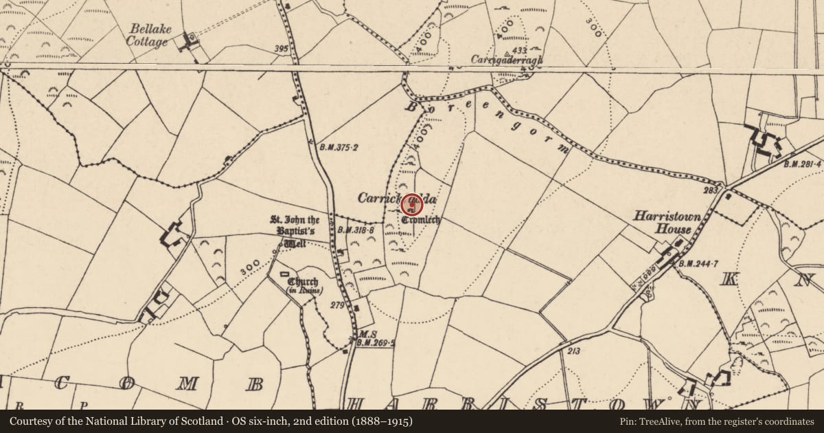 Ordnance Survey six-inch map, 2nd edition (1888–1915) covering the location of Megalithic tomb - passage tomb, Harristown, County Waterford, with a pin at the register's coordinates