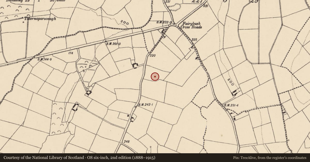 Ordnance Survey six-inch map, 2nd edition (1888–1915) covering the location of Ringfort - unclassified, Leperstown, County Waterford, with a pin at the register's coordinates