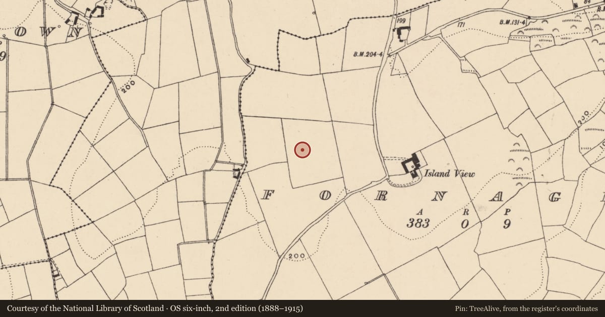 Ordnance Survey six-inch map, 2nd edition (1888–1915) covering the location of Habitation site, Fornaght, County Waterford, with a pin at the register's coordinates