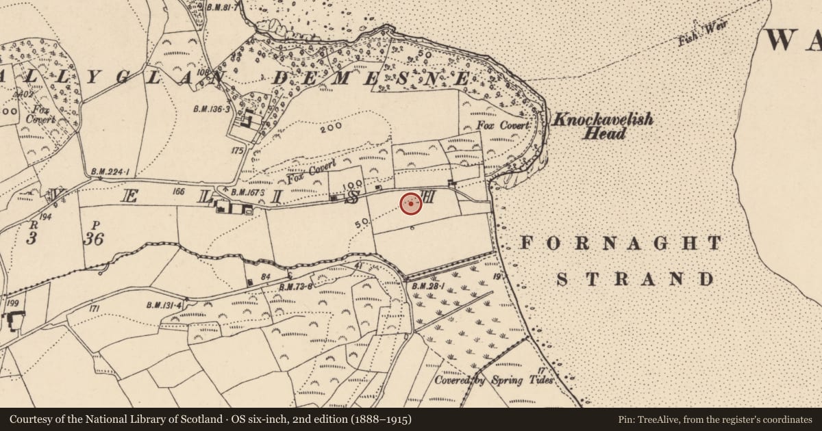 Ordnance Survey six-inch map, 2nd edition (1888–1915) covering the location of Habitation site, Knockavelish, County Waterford, with a pin at the register's coordinates