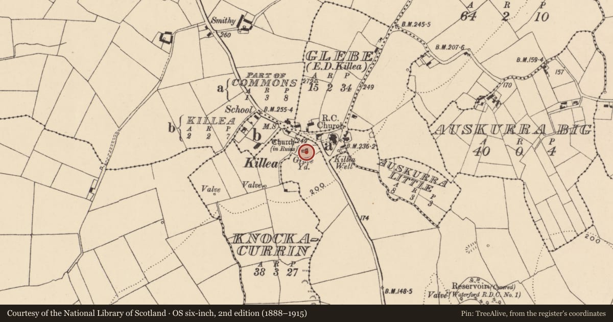 Ordnance Survey six-inch map, 2nd edition (1888–1915) covering the location of Graveyard, Dunmore, County Waterford, with a pin at the register's coordinates