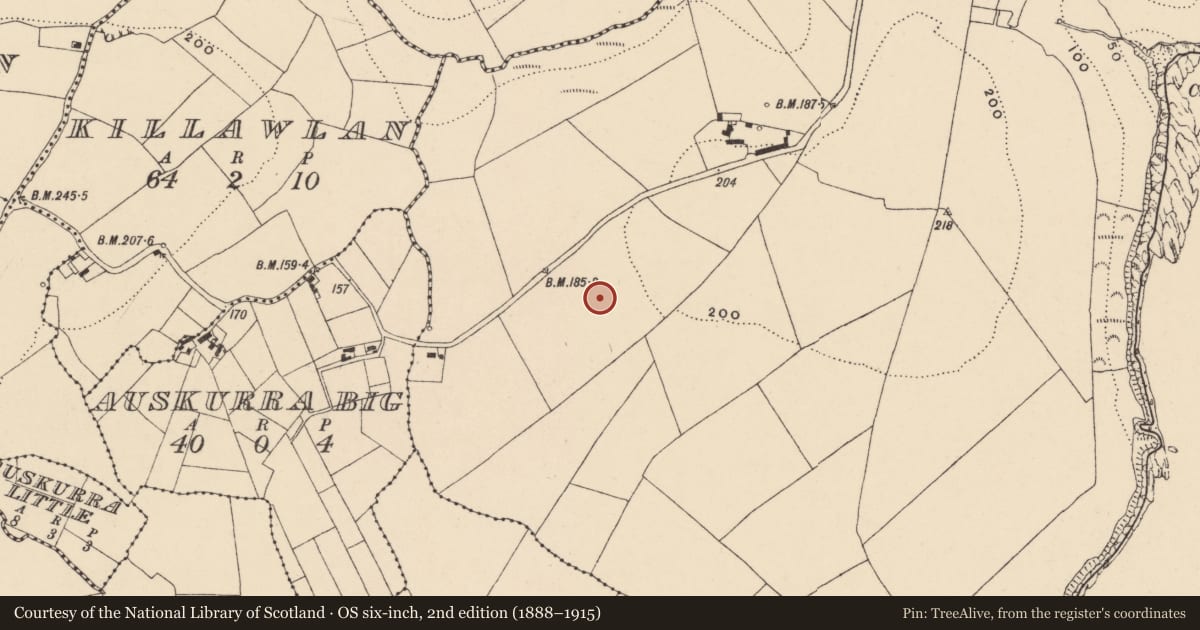 Ordnance Survey six-inch map, 2nd edition (1888–1915) covering the location of Habitation site, Creadan, County Waterford, with a pin at the register's coordinates