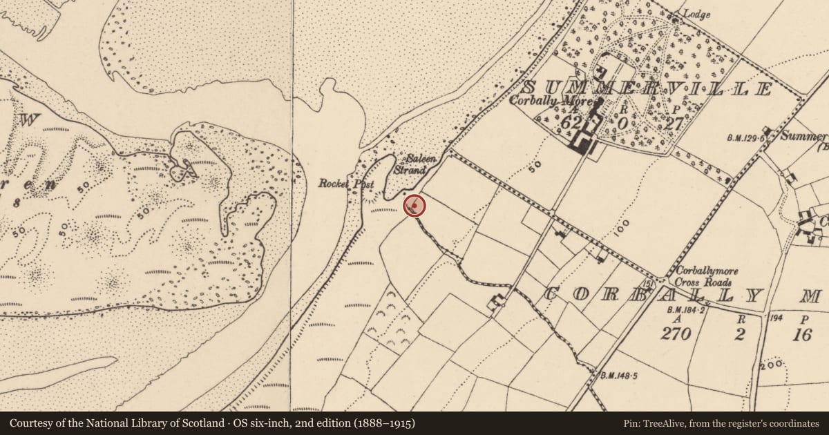 Ordnance Survey six-inch map, 2nd edition (1888–1915) covering the location of Burnt spread, Corbally More, County Waterford, with a pin at the register's coordinates