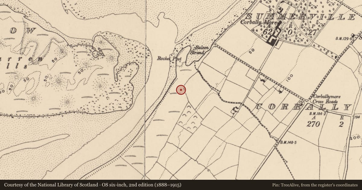Ordnance Survey six-inch map, 2nd edition (1888–1915) covering the location of Burnt mound, Lisselty, County Waterford, with a pin at the register's coordinates